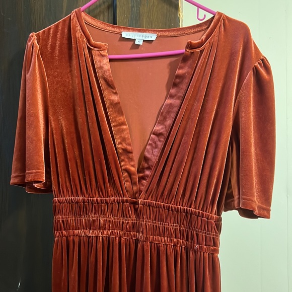 Artemis velvet dress - Picture 4 of 5